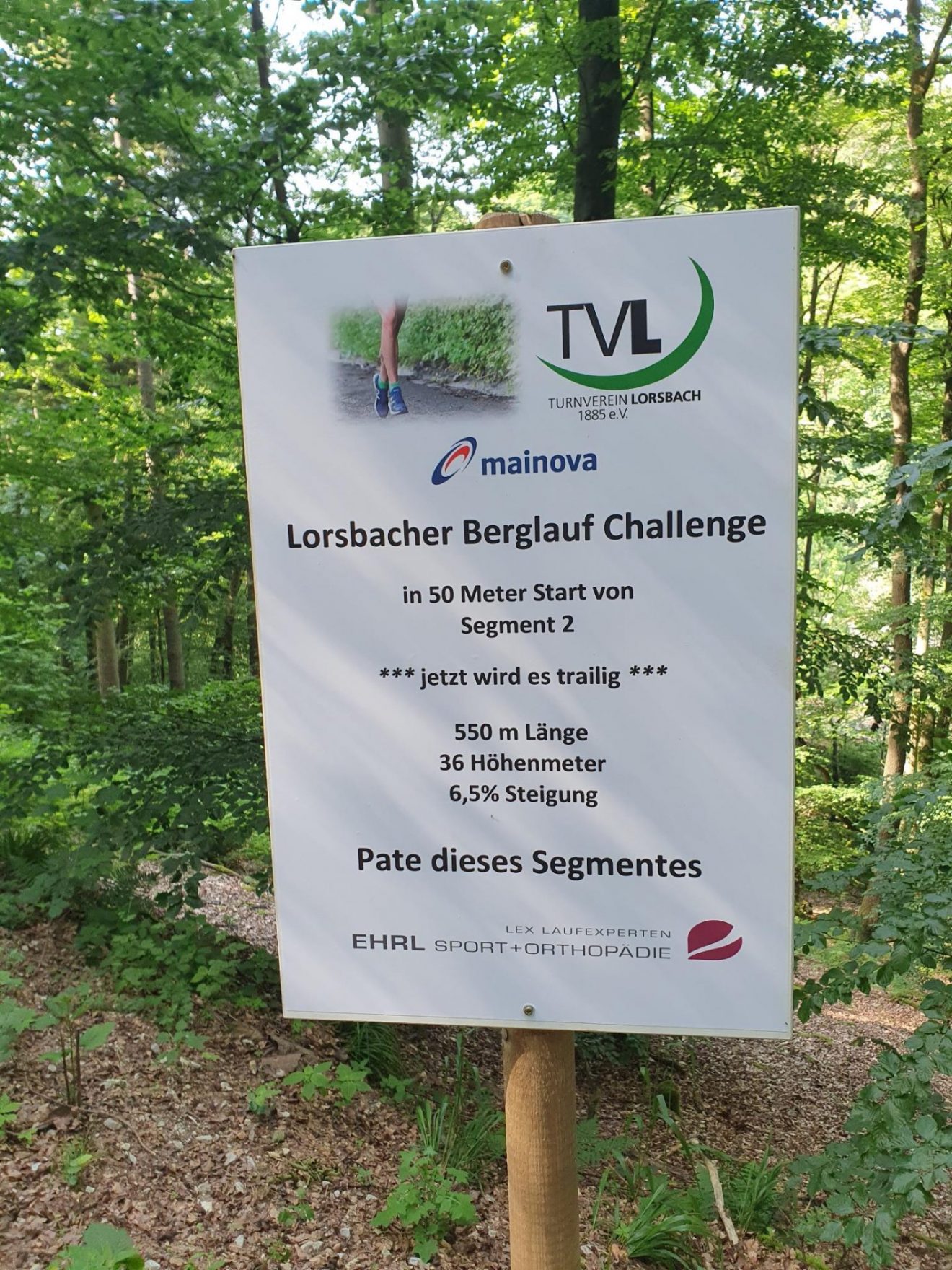 1. Lorsbacher Berglauf Challenge