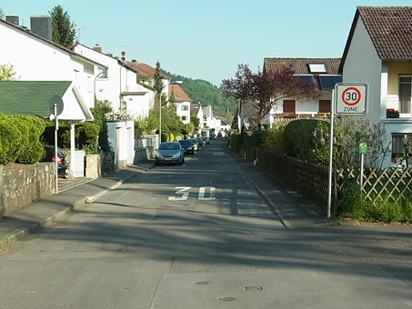 TVL/Schinderwaldlauf, Strecke